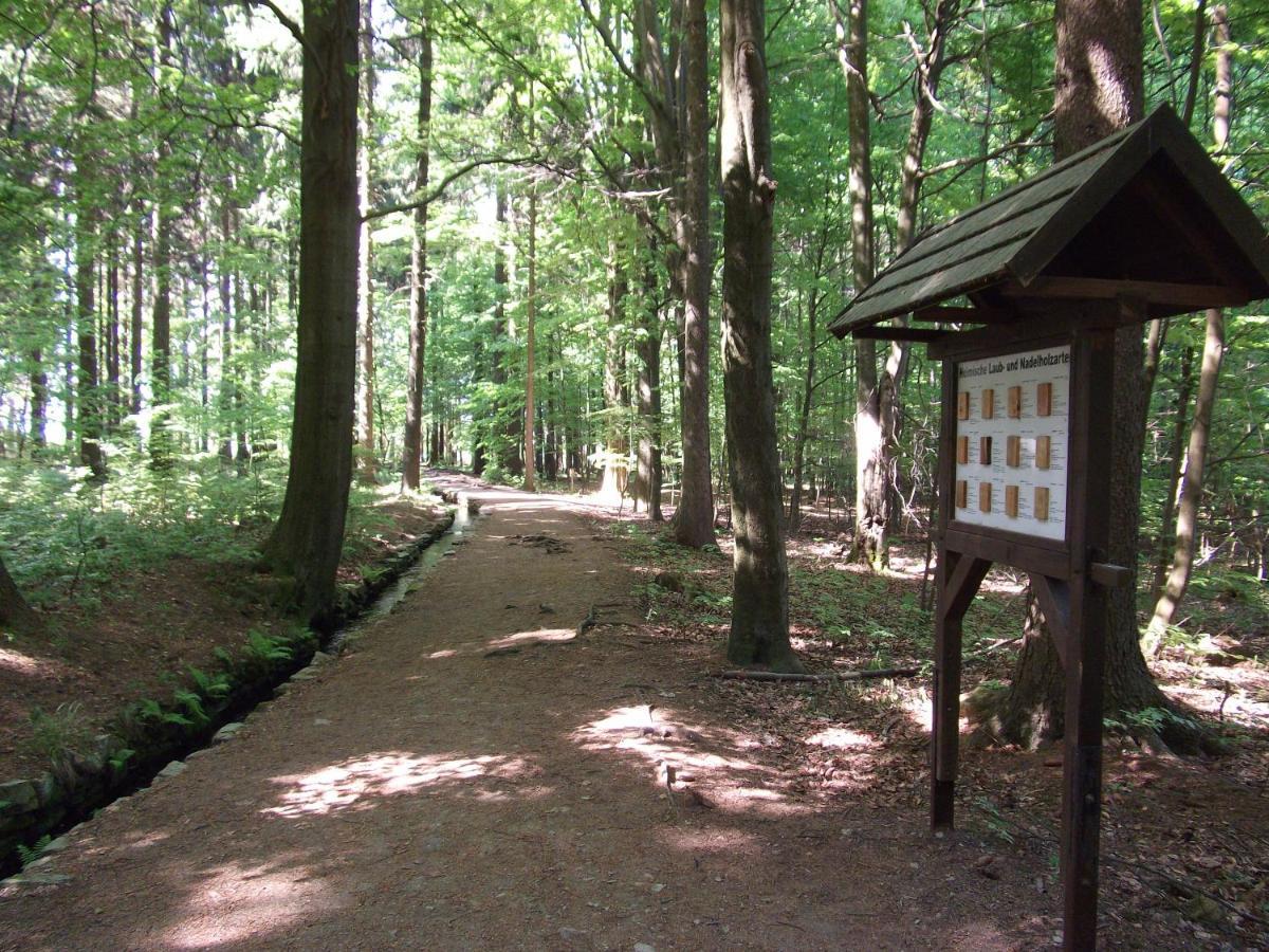 Ferienwohnung Erzgebirge - Pobershau - Mit Schoenem Ausblick, Ruhige, Beste Lage Dış mekan fotoğraf