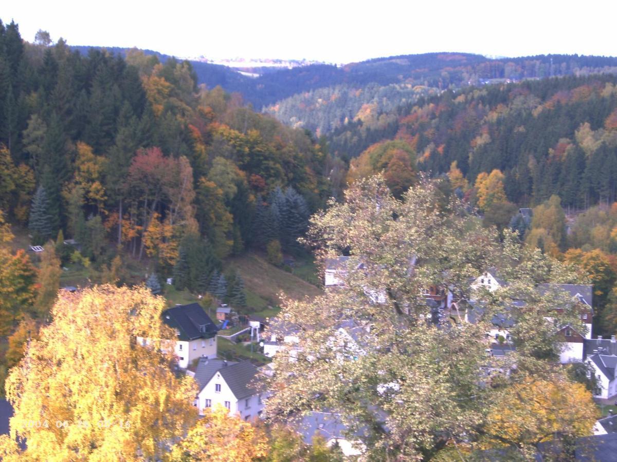 Ferienwohnung Erzgebirge - Pobershau - Mit Schoenem Ausblick, Ruhige, Beste Lage Dış mekan fotoğraf